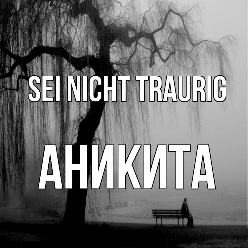 Открытка на каждый день с именем, Аникита Sei nicht traurig висящие ветки дерева и лавочка под деревом Прикольная открытка с пожеланием онлайн скачать бесплатно 