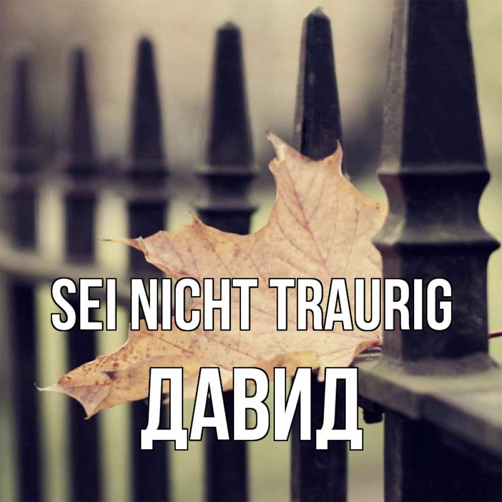 Открытка на каждый день с именем, Давид Sei nicht traurig лист клена Прикольная открытка с пожеланием онлайн скачать бесплатно 