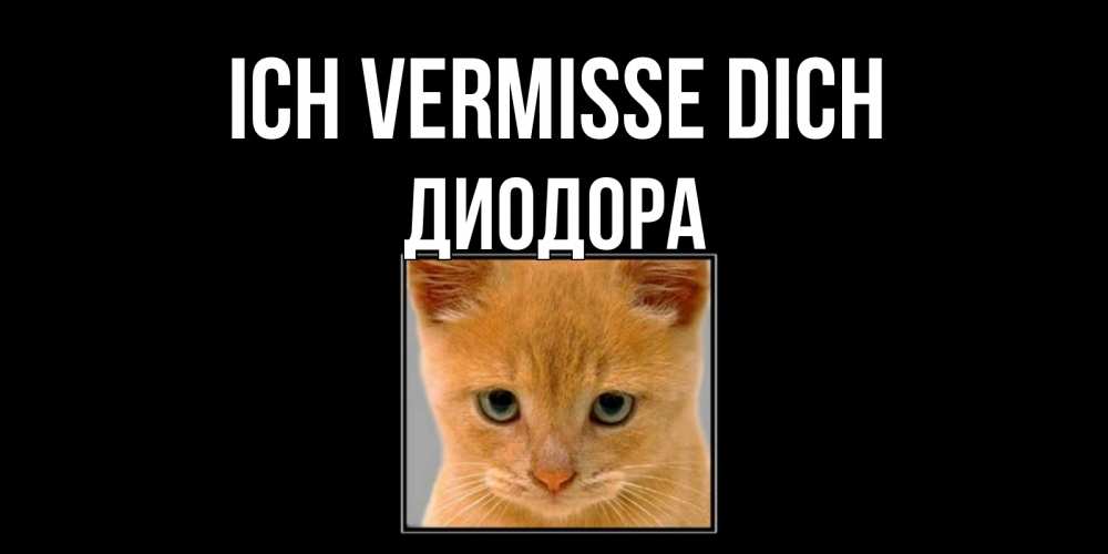 Открытка на каждый день с именем, Диодора Ich vermisse dich открытки рыжий котенок скучает по тебе Прикольная открытка с пожеланием онлайн скачать бесплатно 