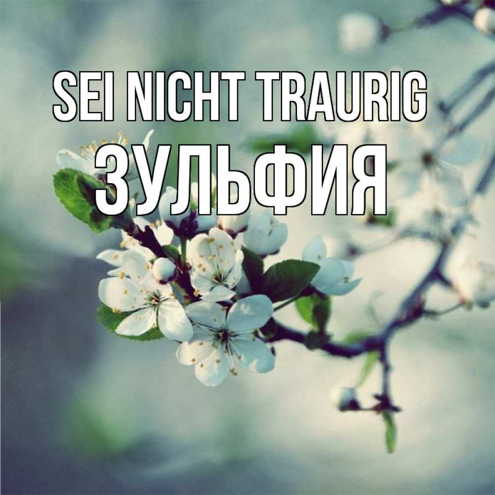 Открытка на каждый день с именем, Зульфия Sei nicht traurig яблоня в цвету 1 Прикольная открытка с пожеланием онлайн скачать бесплатно 