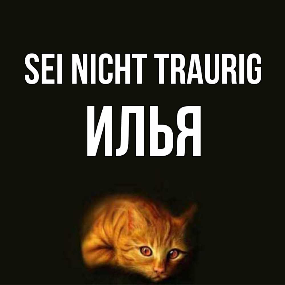Открытка на каждый день с именем, Илья Sei nicht traurig лежащий кот в темноте Прикольная открытка с пожеланием онлайн скачать бесплатно 