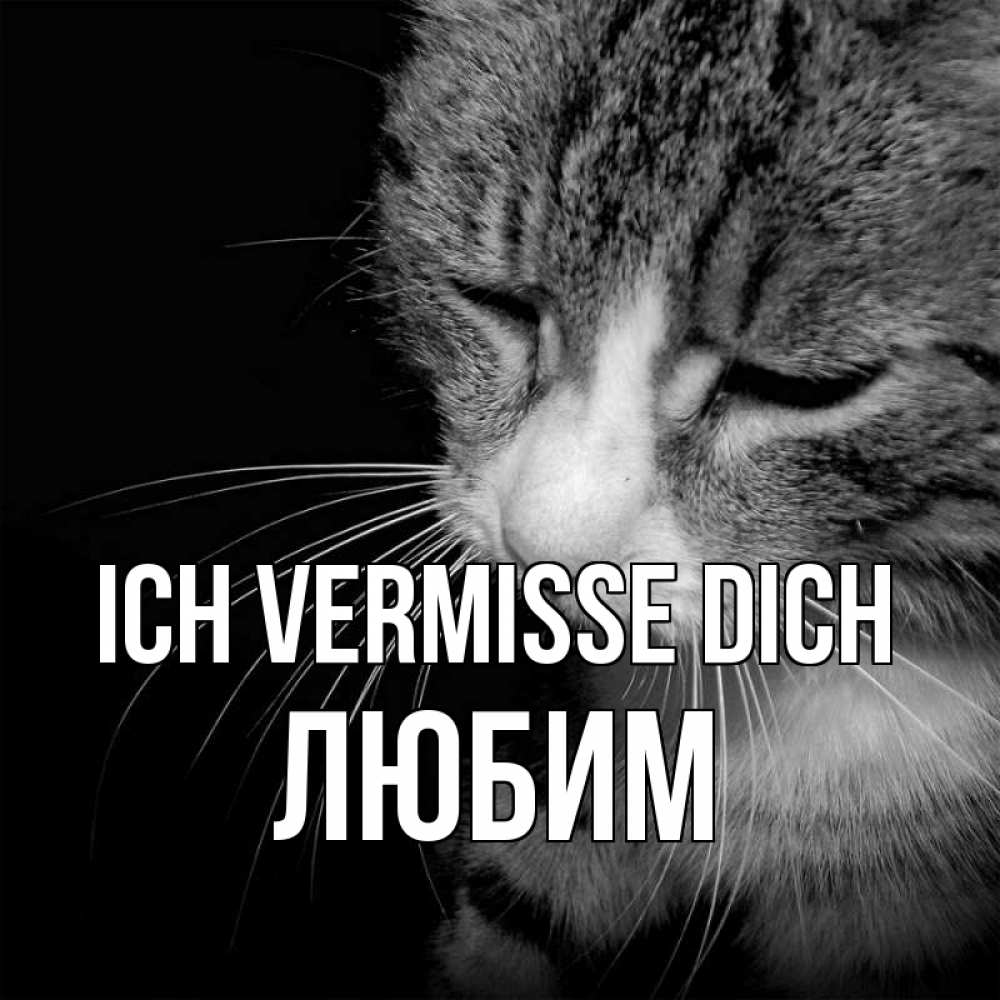 Открытка на каждый день с именем, Любим Ich vermisse dich мне скучно Прикольная открытка с пожеланием онлайн скачать бесплатно 