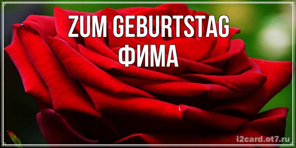Открытка на каждый день с именем, Фима Zum Geburtstag розочка очень красивая Прикольная открытка с пожеланием онлайн скачать бесплатно 