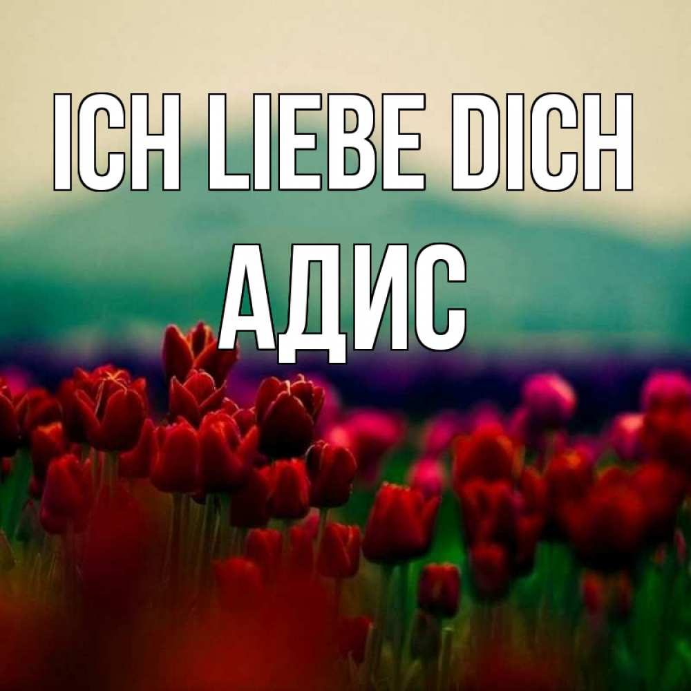 Открытка на каждый день с именем, Адис Ich liebe dich тюльпаны 4 Прикольная открытка с пожеланием онлайн скачать бесплатно 