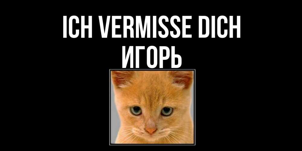 Открытка на каждый день с именем, Игорь Ich vermisse dich открытки рыжий котенок скучает по тебе Прикольная открытка с пожеланием онлайн скачать бесплатно 