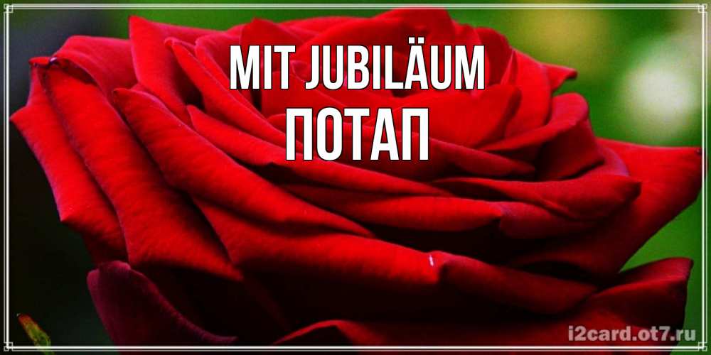 Открытка на каждый день с именем, Потап Mit Jubiläum розочка очень красивая Прикольная открытка с пожеланием онлайн скачать бесплатно 
