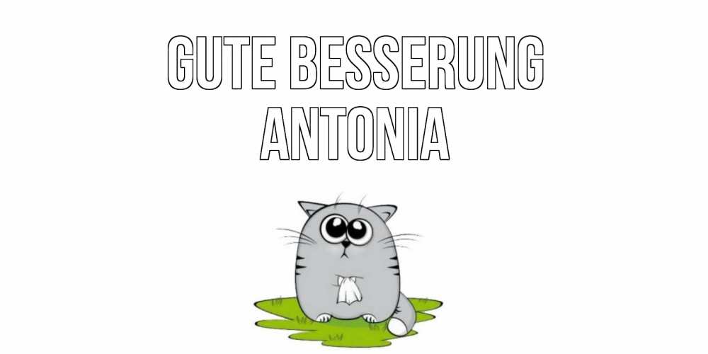 Открытка на каждый день с именем, Antonia Gute Besserung кот и открытки про выздоровление Прикольная открытка с пожеланием онлайн скачать бесплатно 