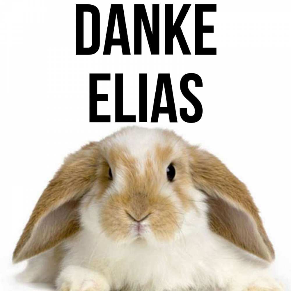 Открытка на каждый день с именем, Elias Danke коричнево белый заяц Прикольная открытка с пожеланием онлайн скачать бесплатно 