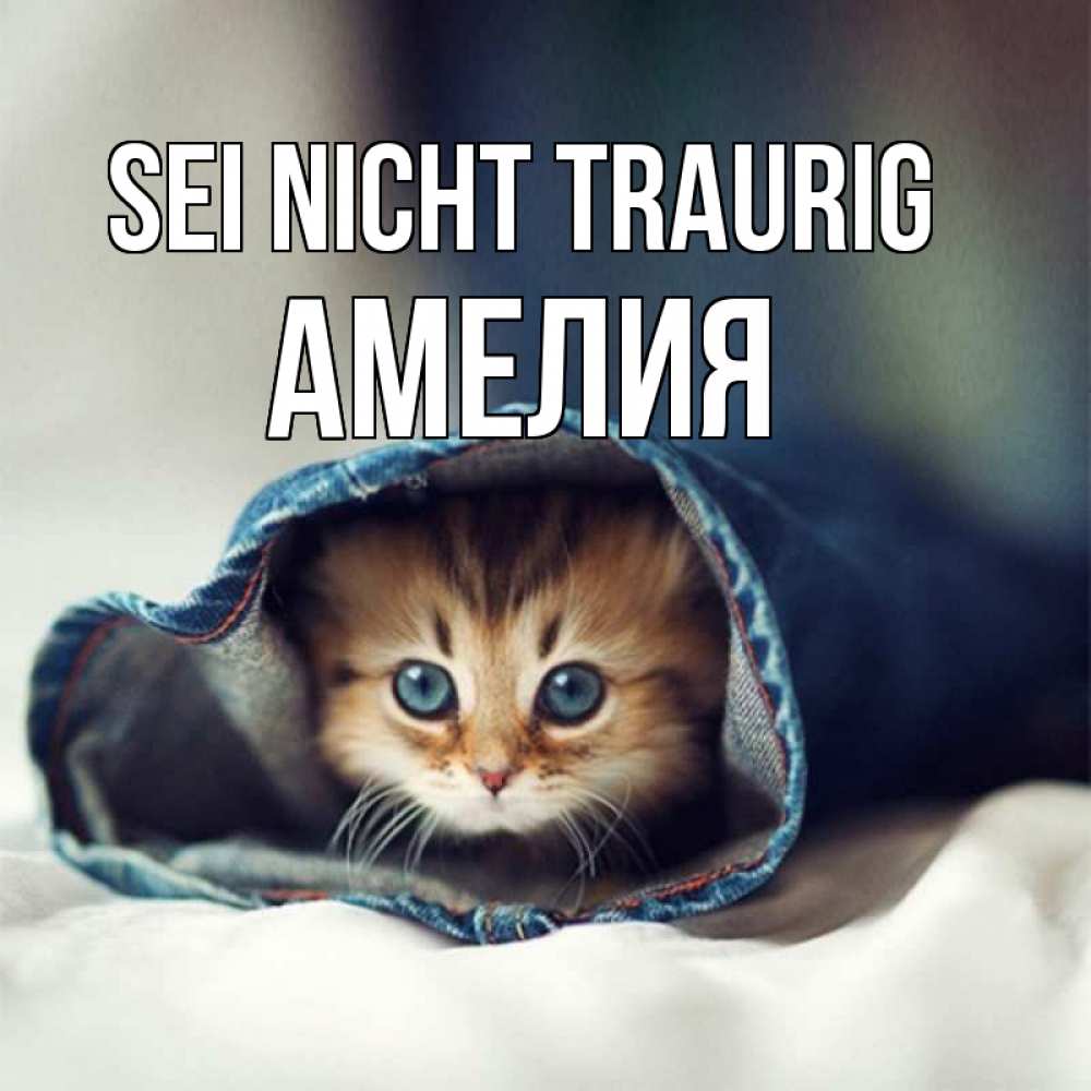 Открытка на каждый день с именем, Амелия Sei nicht traurig рыжик котик Прикольная открытка с пожеланием онлайн скачать бесплатно 