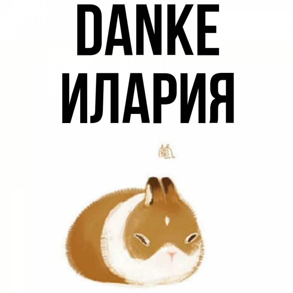Открытка на каждый день с именем, Илария Danke коричнево белый домашний питомец Прикольная открытка с пожеланием онлайн скачать бесплатно 