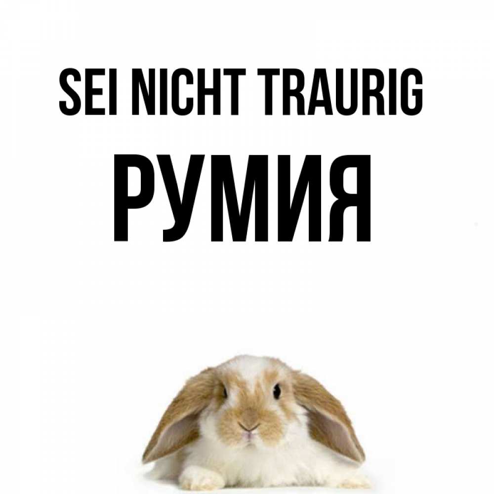 Открытка на каждый день с именем, Румия Sei nicht traurig коричнево белый заяц с большими ушками Прикольная открытка с пожеланием онлайн скачать бесплатно 
