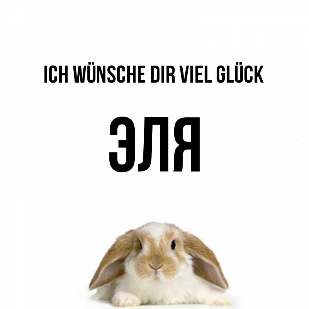 Открытка на каждый день с именем, Эля Ich wünsche dir viel Glück открытки с произвольным текстом который можно вставить в открытку и создать ее самостоятельно бесплатно онлайн Прикольная открытка с пожеланием онлайн скачать бесплатно 