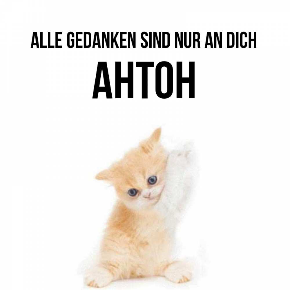 Открытка на каждый день с именем, Антон Alle Gedanken sind nur an dich зверушки и милота Прикольная открытка с пожеланием онлайн скачать бесплатно 