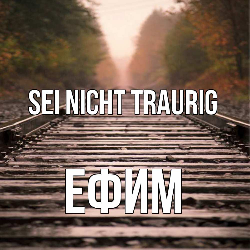 Открытка на каждый день с именем, Ефим Sei nicht traurig лес и железная дорога Прикольная открытка с пожеланием онлайн скачать бесплатно 
