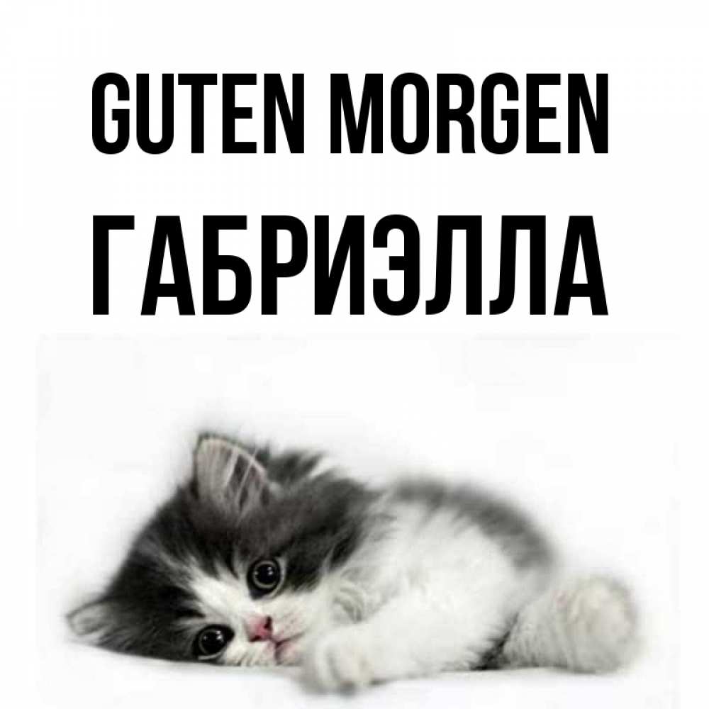 Открытка на каждый день с именем, Габриэлла Guten Morgen кот лапки Прикольная открытка с пожеланием онлайн скачать бесплатно 