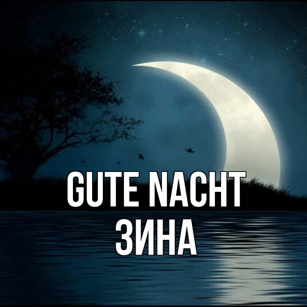 Открытка на каждый день с именем, Зина Gute Nacht вода Прикольная открытка с пожеланием онлайн скачать бесплатно 