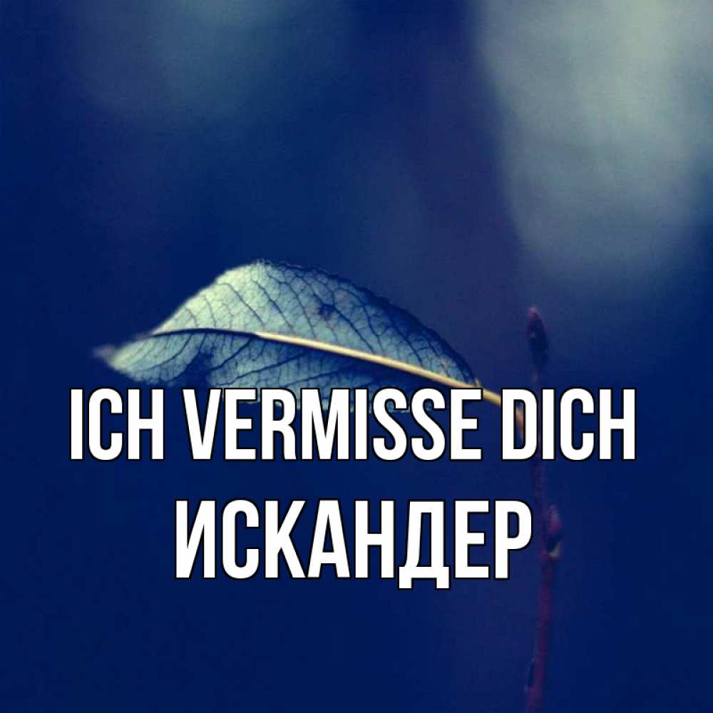 Открытка на каждый день с именем, Искандер Ich vermisse dich одна ветка 1 Прикольная открытка с пожеланием онлайн скачать бесплатно 