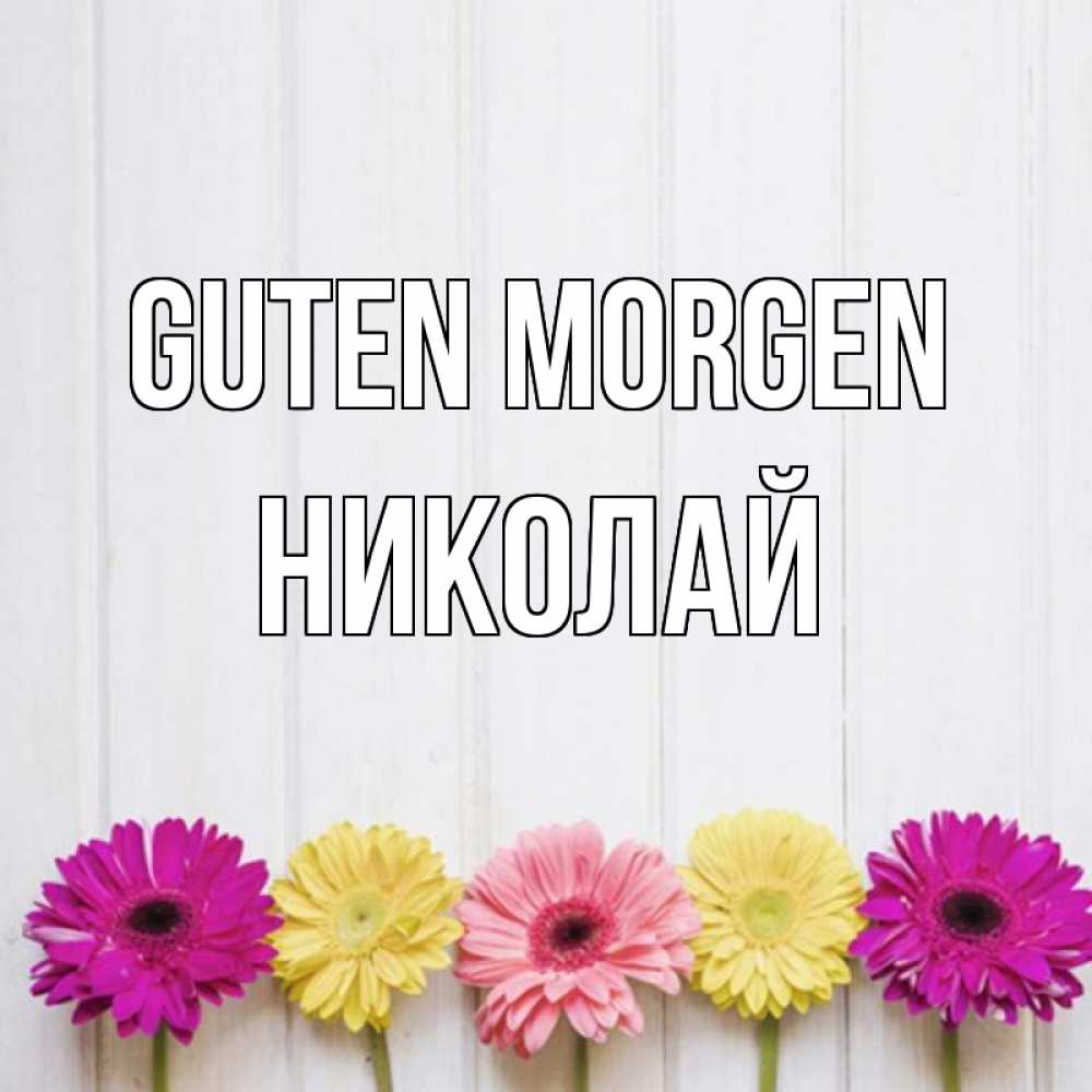Открытка на каждый день с именем, Николай Guten Morgen красный желтый и розовый цветок Прикольная открытка с пожеланием онлайн скачать бесплатно 