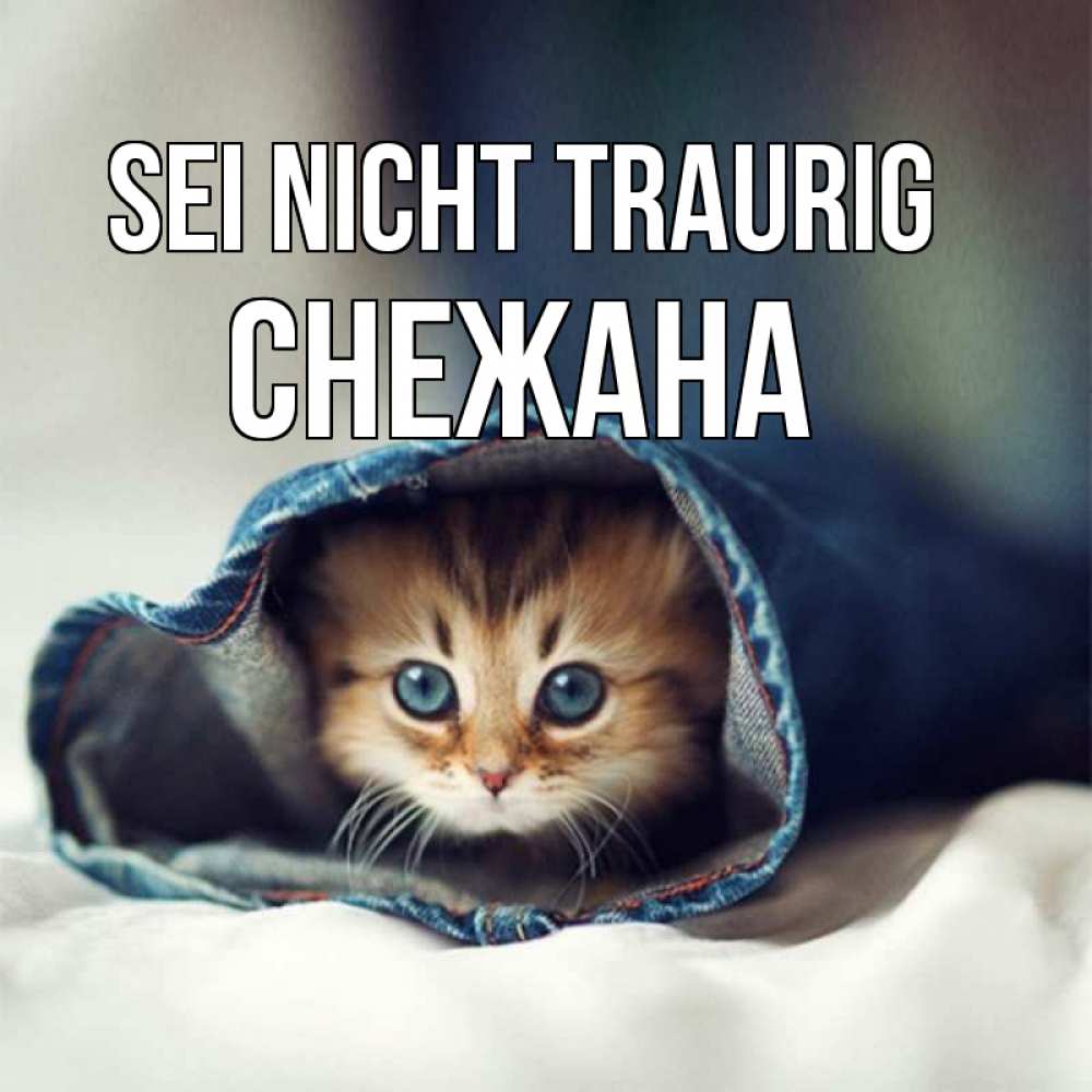 Открытка на каждый день с именем, Снежана Sei nicht traurig рыжик котик Прикольная открытка с пожеланием онлайн скачать бесплатно 