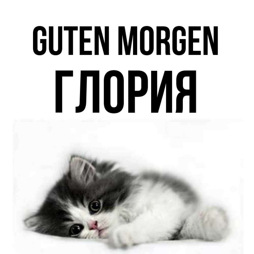 Открытка на каждый день с именем, Глория Guten Morgen кот лапки Прикольная открытка с пожеланием онлайн скачать бесплатно 