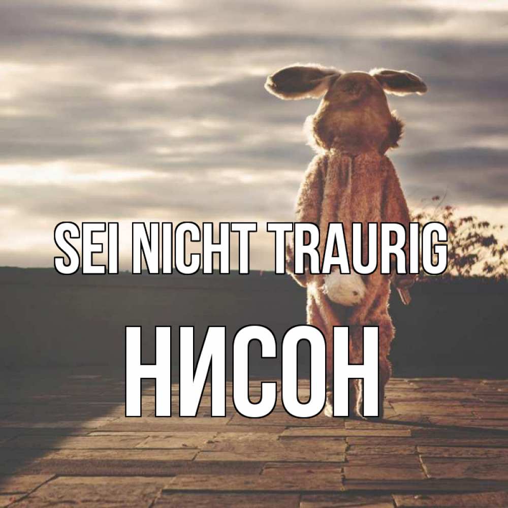Открытка на каждый день с именем, Нисон Sei nicht traurig со спины Прикольная открытка с пожеланием онлайн скачать бесплатно 