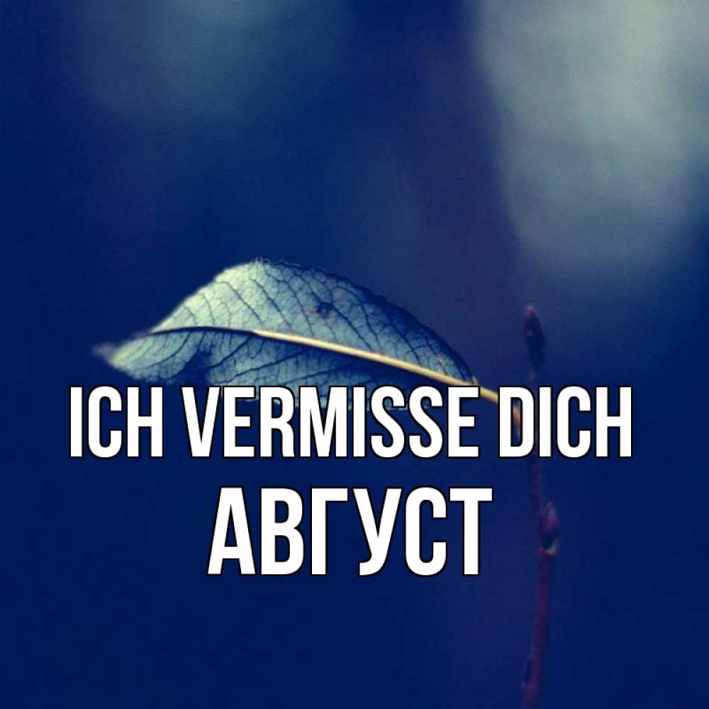 Открытка на каждый день с именем, Август Ich vermisse dich одна ветка 1 Прикольная открытка с пожеланием онлайн скачать бесплатно 