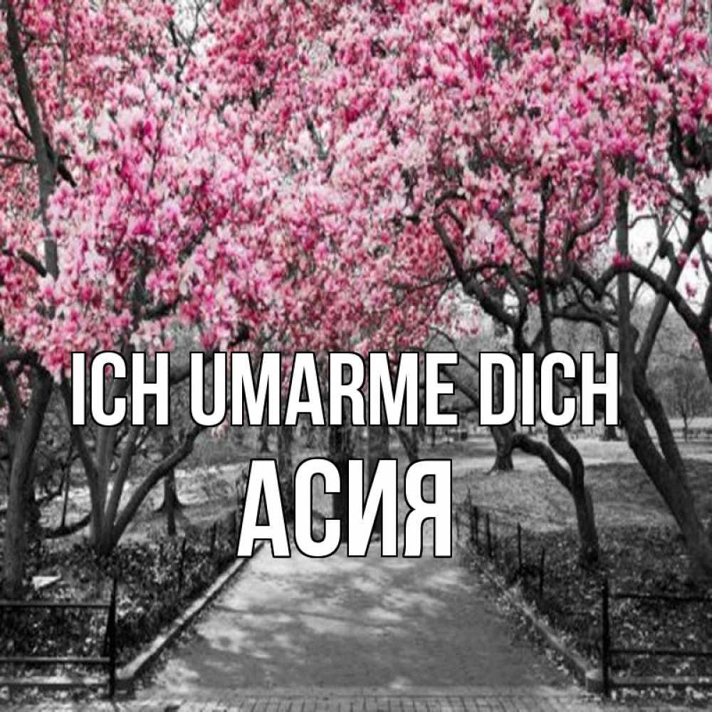 Открытка на каждый день с именем, Асия Ich umarme dich обработанное фото Прикольная открытка с пожеланием онлайн скачать бесплатно 