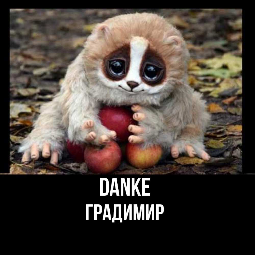 Открытка на каждый день с именем, Градимир Danke прикольное животное Прикольная открытка с пожеланием онлайн скачать бесплатно 