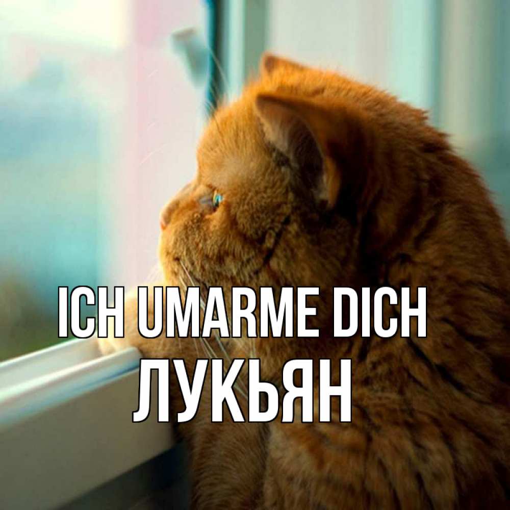 Открытка на каждый день с именем, Лукьян Ich umarme dich большой огромный рыжий котяра Прикольная открытка с пожеланием онлайн скачать бесплатно 