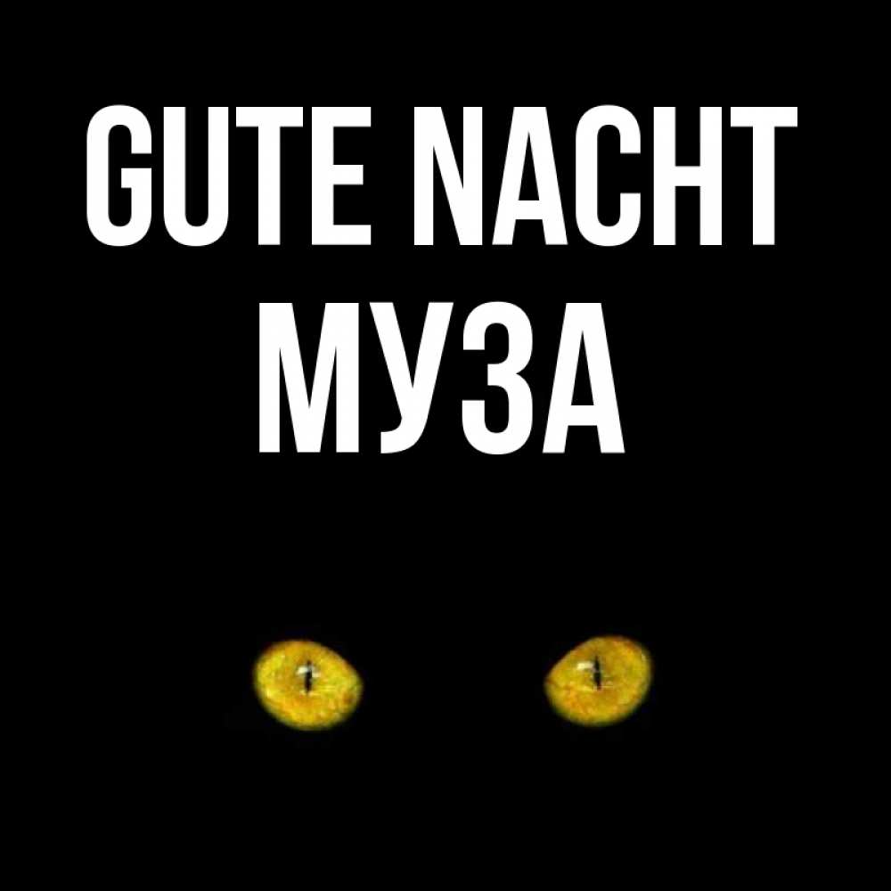 Открытка на каждый день с именем, Муза Gute Nacht сладких снов бесстрашный мой дружочек Прикольная открытка с пожеланием онлайн скачать бесплатно 