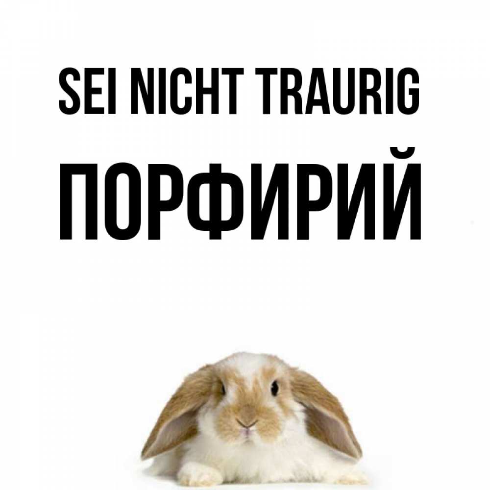 Открытка на каждый день с именем, Порфирий Sei nicht traurig коричнево белый заяц с большими ушками Прикольная открытка с пожеланием онлайн скачать бесплатно 