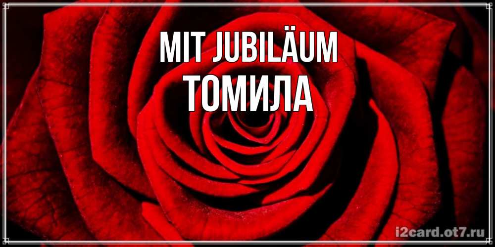 Открытка на каждый день с именем, Томила Mit Jubiläum алая роза Прикольная открытка с пожеланием онлайн скачать бесплатно 