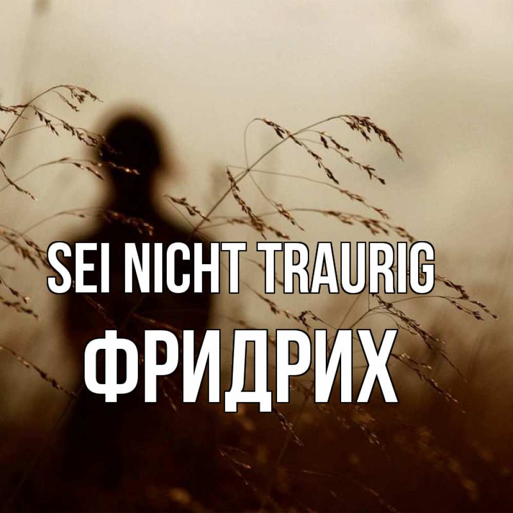 Открытка на каждый день с именем, Фридрих Sei nicht traurig грусть Прикольная открытка с пожеланием онлайн скачать бесплатно 