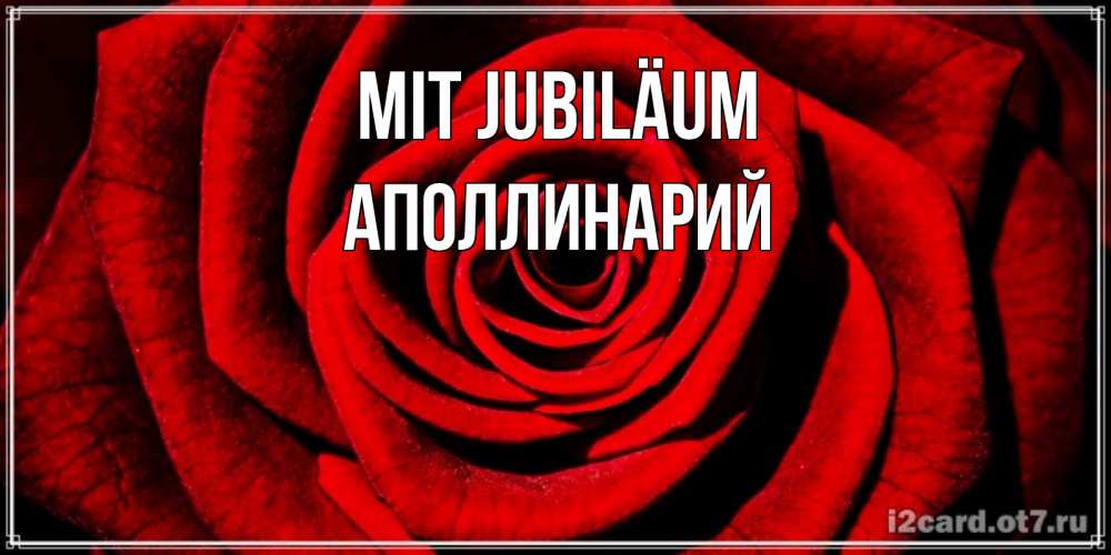 Открытка на каждый день с именем, Аполлинарий Mit Jubiläum алая роза Прикольная открытка с пожеланием онлайн скачать бесплатно 