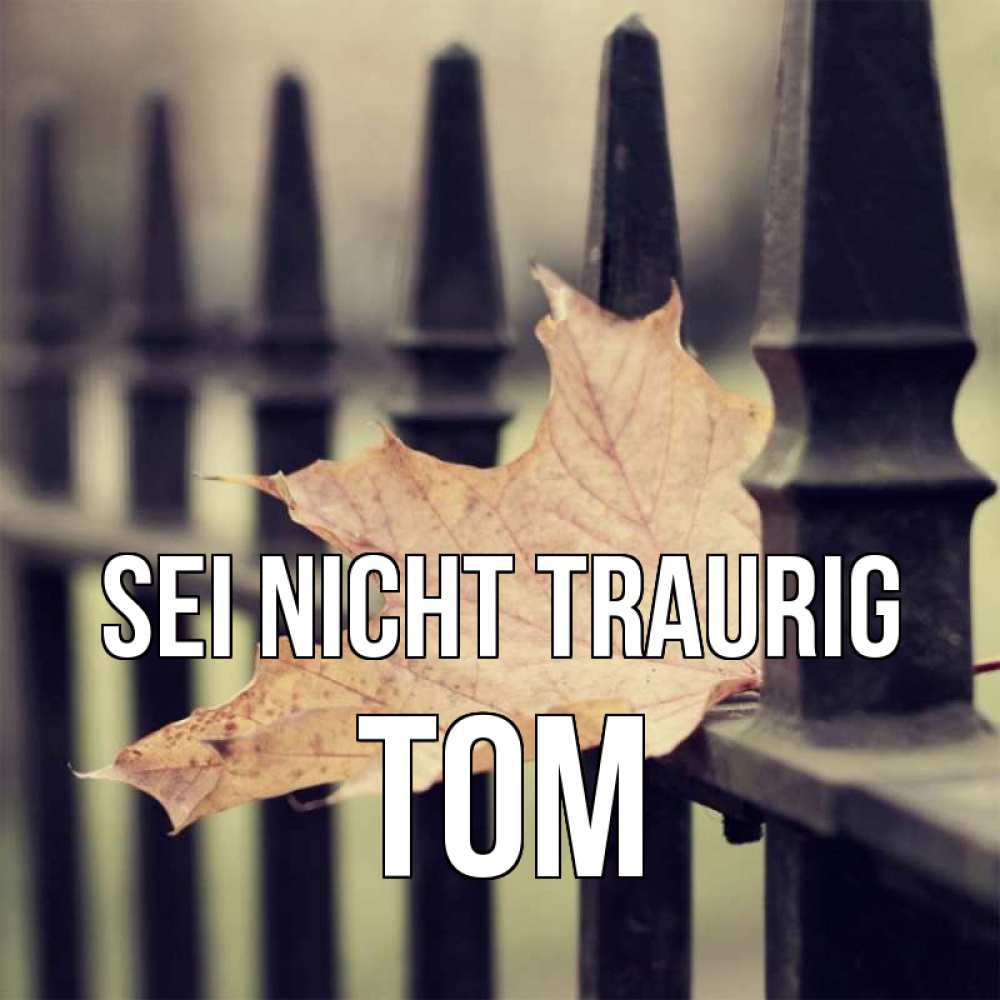 Открытка на каждый день с именем, Tom Sei nicht traurig лист клена Прикольная открытка с пожеланием онлайн скачать бесплатно 