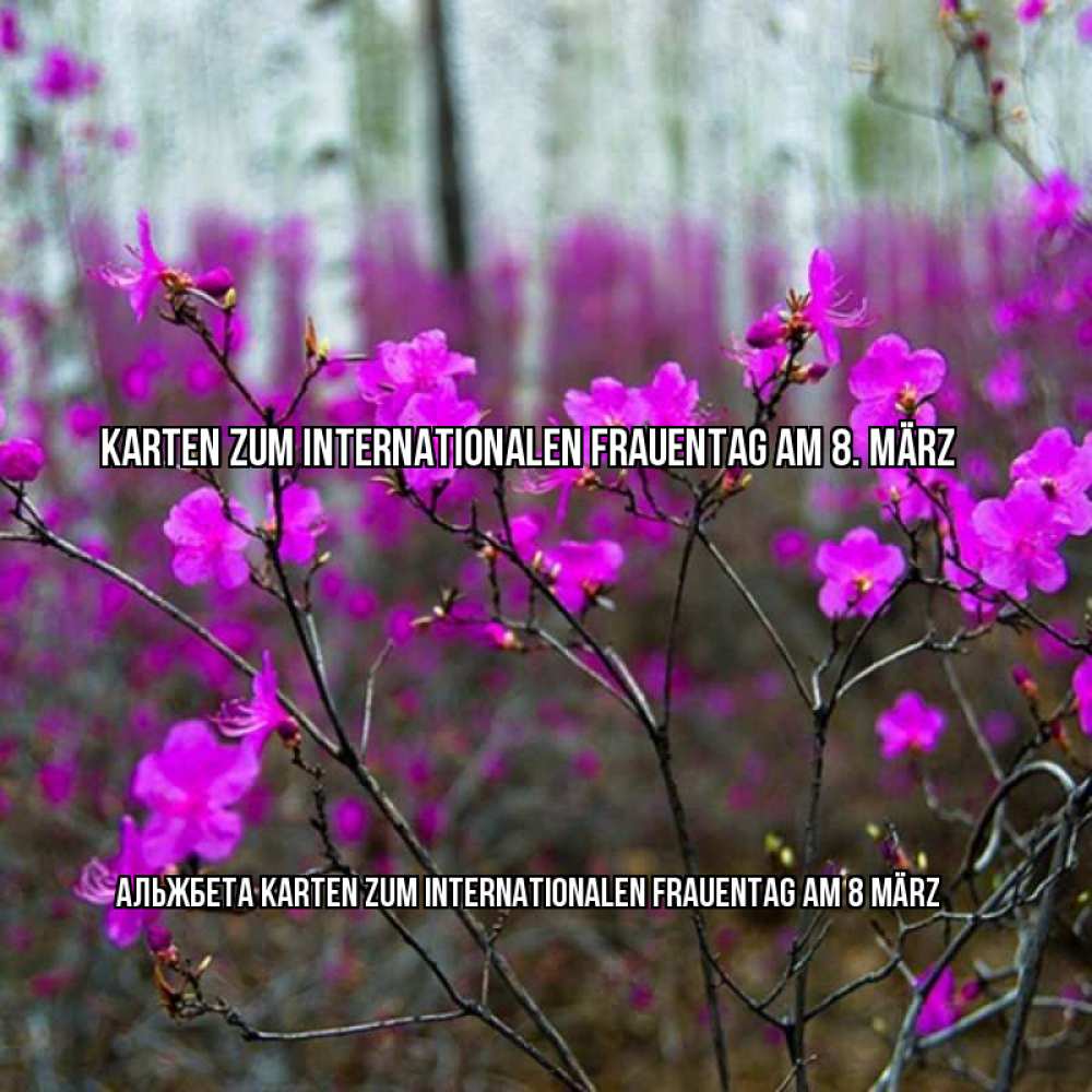 Картинка Karten zum Internationalen Frauentag am 8. März, Альжбета