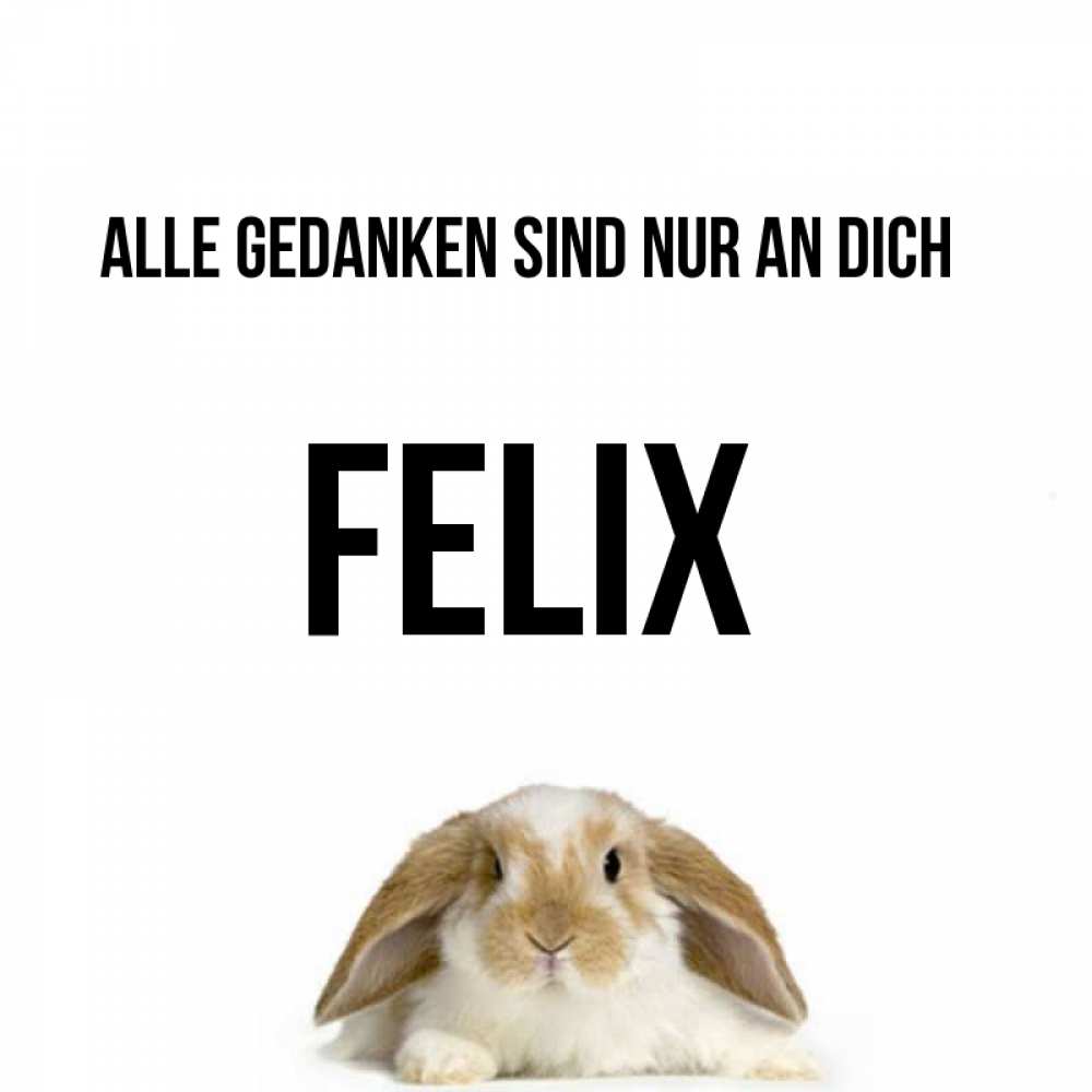 Открытка на каждый день с именем, Felix Alle Gedanken sind nur an dich подписать своими руками онлайн Прикольная открытка с пожеланием онлайн скачать бесплатно 