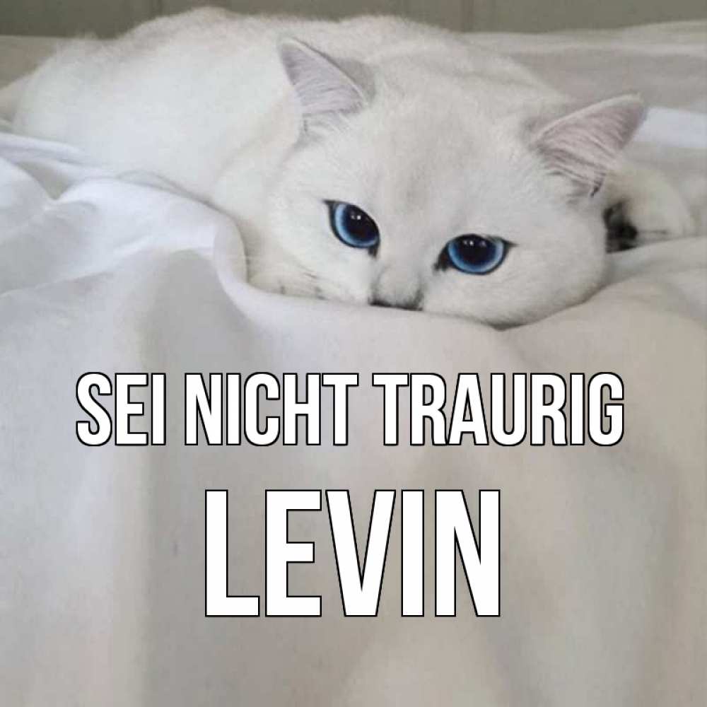 Открытка на каждый день с именем, Levin Sei nicht traurig белый кот с голубыми глазами на белоснежной кровати Прикольная открытка с пожеланием онлайн скачать бесплатно 