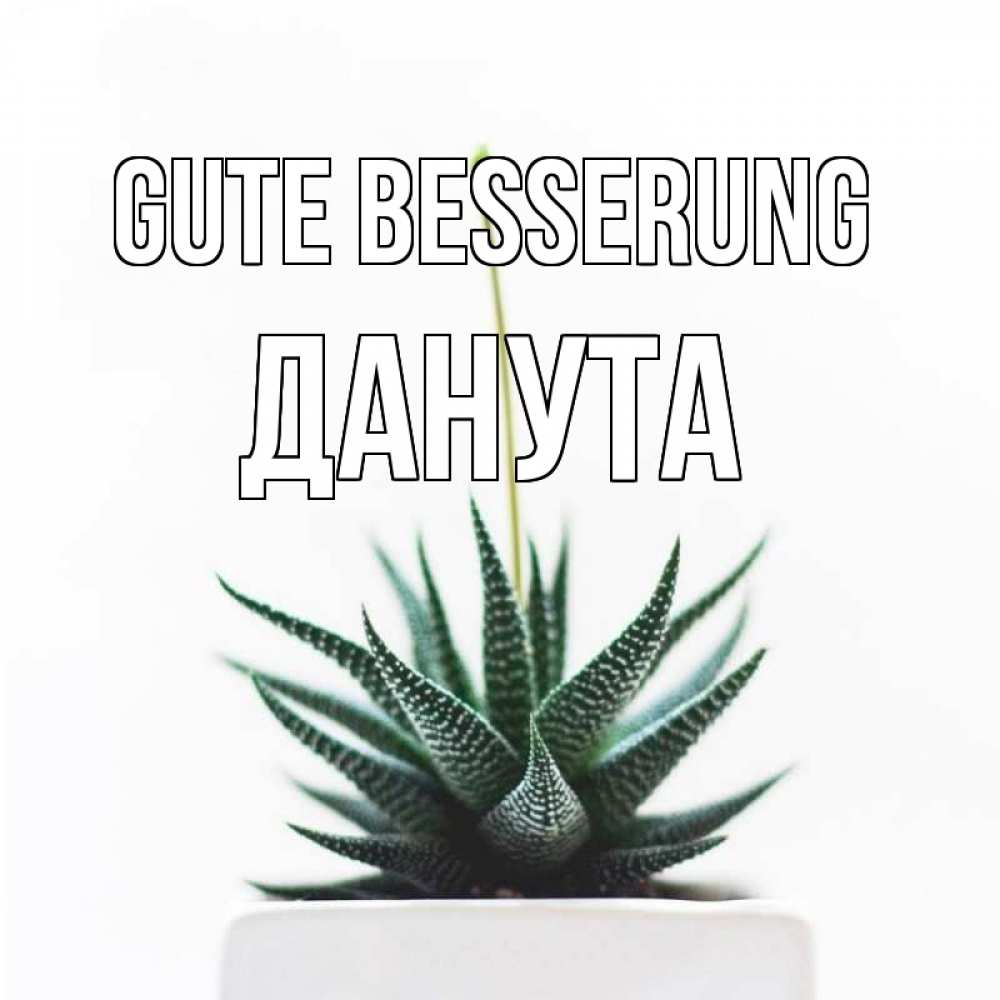 Открытка на каждый день с именем, Данута Gute Besserung короче это непонятная колючка Прикольная открытка с пожеланием онлайн скачать бесплатно 