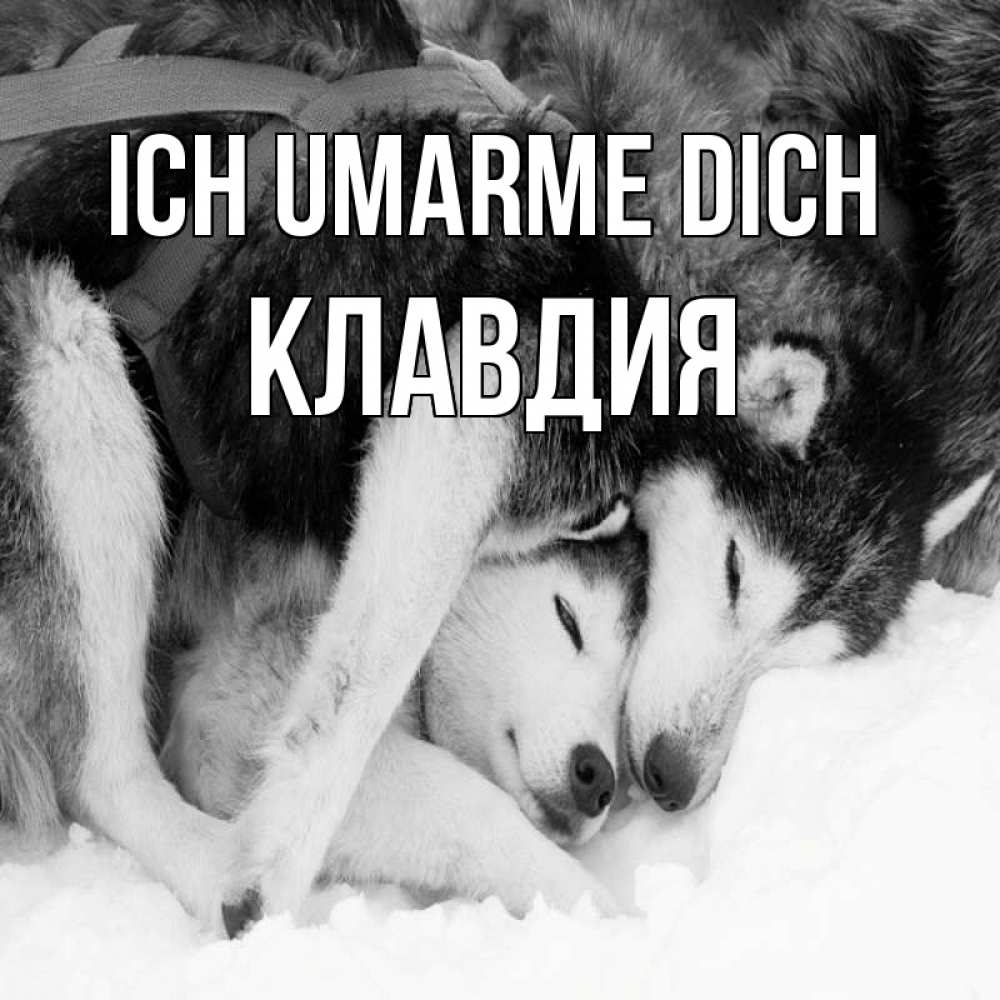 Открытка на каждый день с именем, Клавдия Ich umarme dich собачки в упряжке Прикольная открытка с пожеланием онлайн скачать бесплатно 