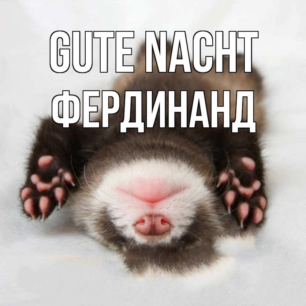 Открытка на каждый день с именем, Фердинанд Gute Nacht зверек Прикольная открытка с пожеланием онлайн скачать бесплатно 
