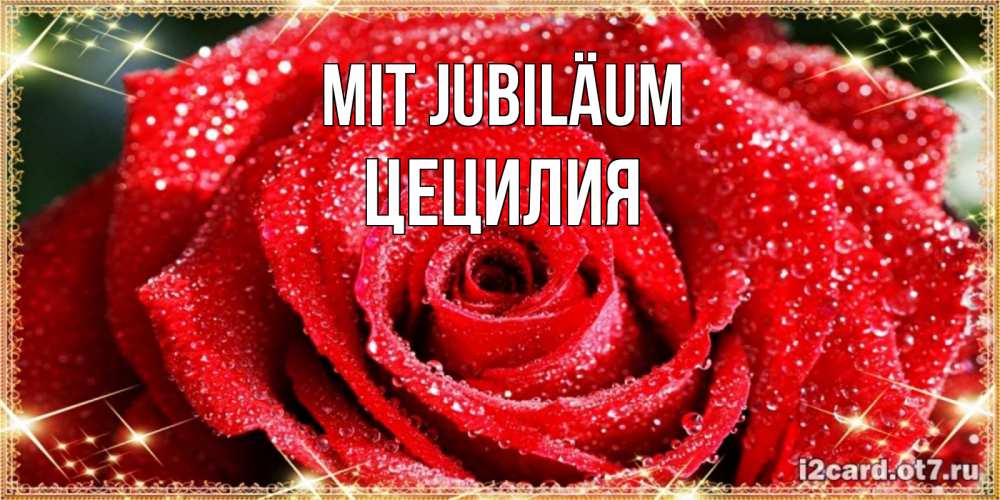 Открытка на каждый день с именем, Цецилия Mit Jubiläum роса и роза. открытка с красивой розой Прикольная открытка с пожеланием онлайн скачать бесплатно 