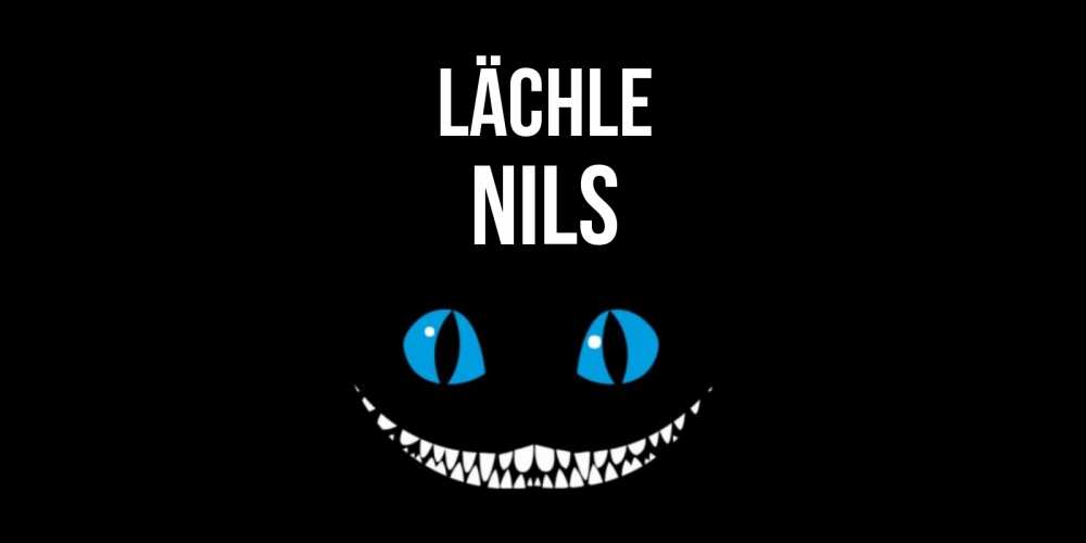 Открытка на каждый день с именем, Nils Lächle кот улыбается Прикольная открытка с пожеланием онлайн скачать бесплатно 