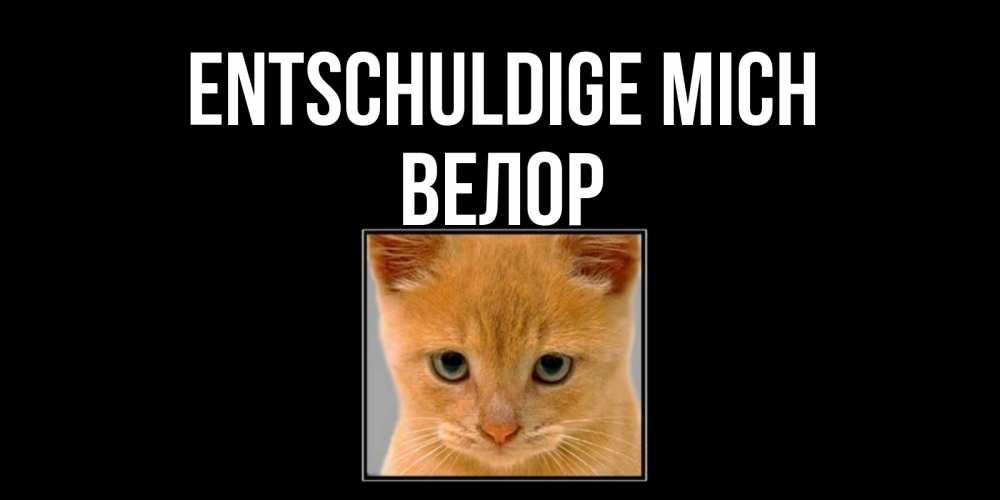 Открытка на каждый день с именем, Велор Entschuldige mich рыжий грустный кот просит прощения Прикольная открытка с пожеланием онлайн скачать бесплатно 
