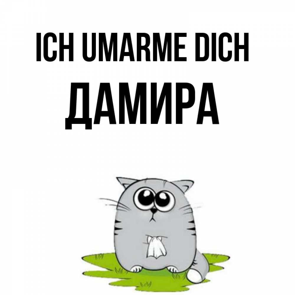 Открытка на каждый день с именем, Дамира Ich umarme dich котик теребит платочек сидя на травке Прикольная открытка с пожеланием онлайн скачать бесплатно 