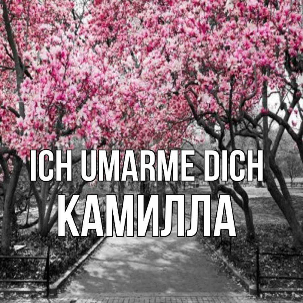 Открытка на каждый день с именем, Камилла Ich umarme dich обработанное фото Прикольная открытка с пожеланием онлайн скачать бесплатно 