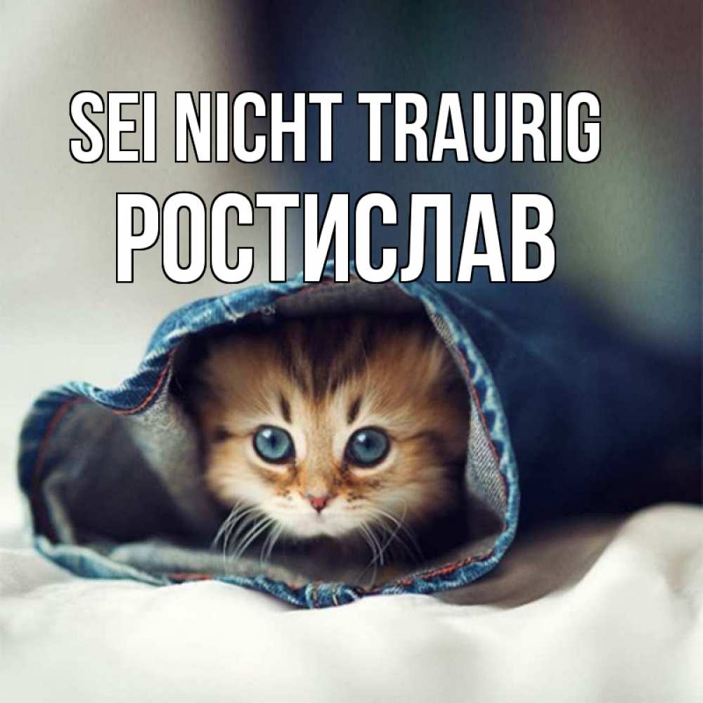 Открытка на каждый день с именем, Ростислав Sei nicht traurig рыжик котик Прикольная открытка с пожеланием онлайн скачать бесплатно 
