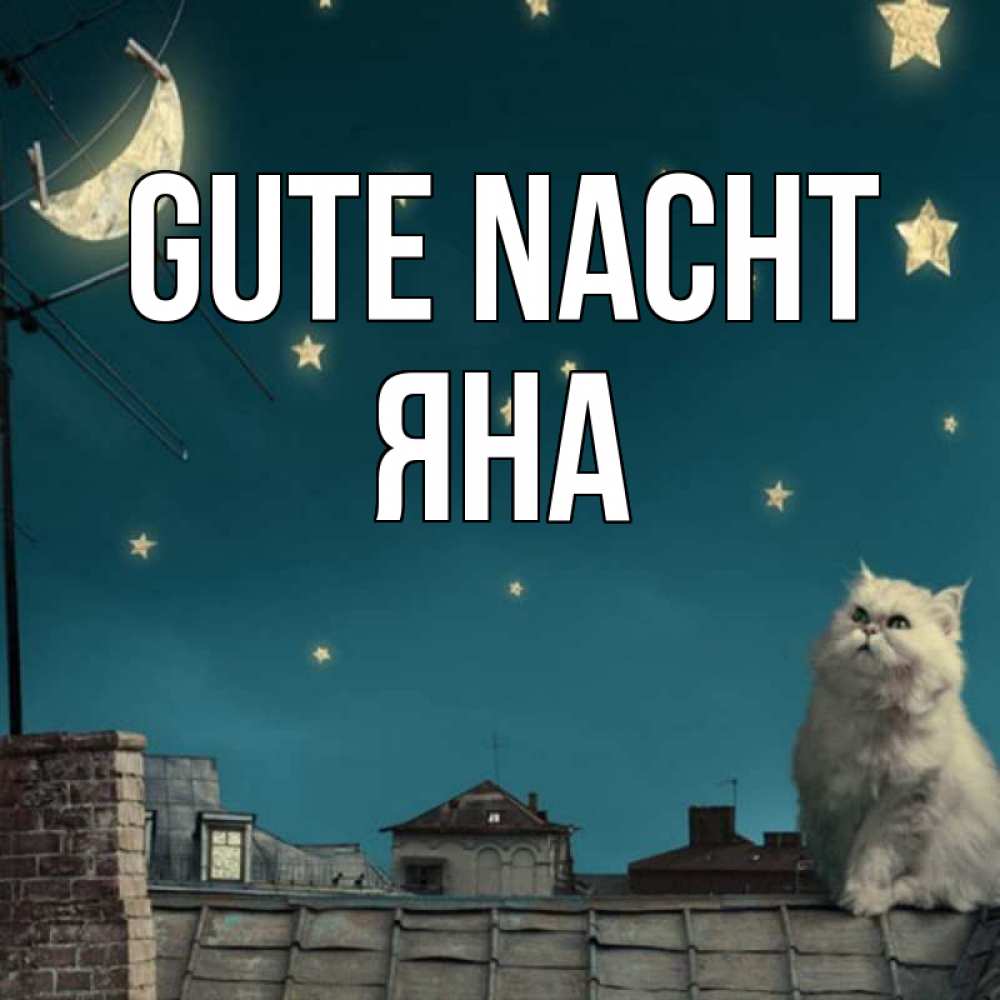 Открытка на каждый день с именем, Яна Gute Nacht белый кот сидит на крыше Прикольная открытка с пожеланием онлайн скачать бесплатно 