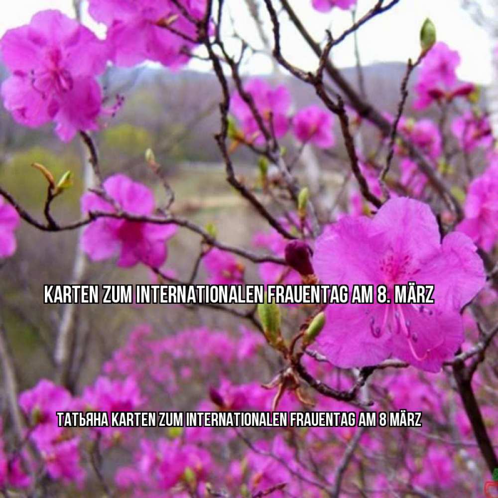 Картинка Karten zum Internationalen Frauentag am 8. März, Татьяна