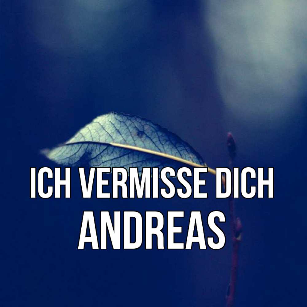 Открытка на каждый день с именем, Andreas Ich vermisse dich одна ветка 1 Прикольная открытка с пожеланием онлайн скачать бесплатно 